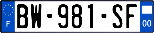 BW-981-SF