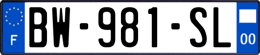 BW-981-SL