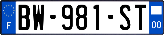 BW-981-ST