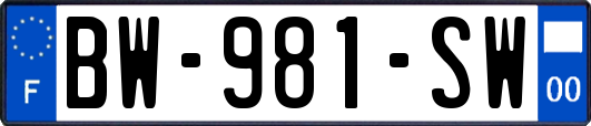BW-981-SW