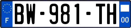 BW-981-TH