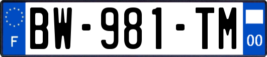 BW-981-TM