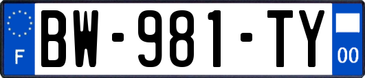 BW-981-TY