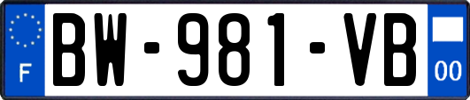 BW-981-VB