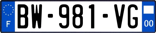 BW-981-VG