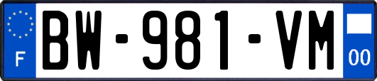 BW-981-VM