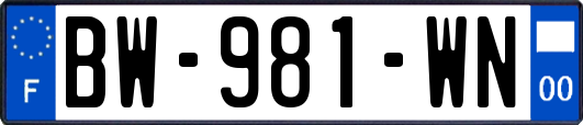 BW-981-WN