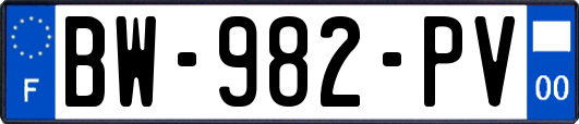 BW-982-PV