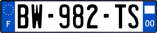 BW-982-TS