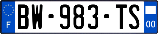 BW-983-TS