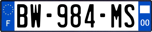 BW-984-MS