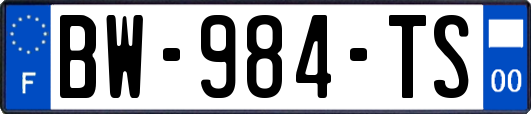 BW-984-TS