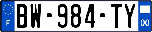BW-984-TY