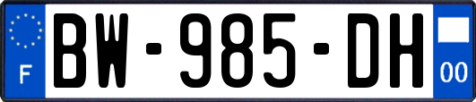 BW-985-DH