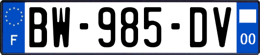 BW-985-DV