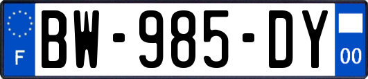 BW-985-DY