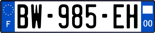 BW-985-EH