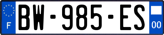 BW-985-ES