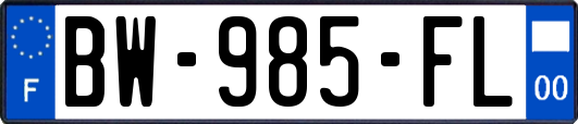 BW-985-FL