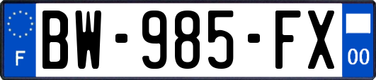 BW-985-FX