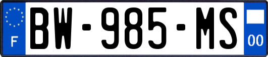 BW-985-MS