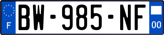BW-985-NF