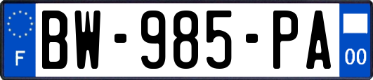 BW-985-PA