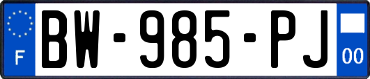 BW-985-PJ