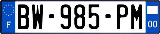 BW-985-PM
