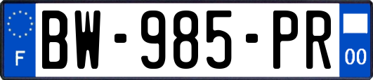 BW-985-PR