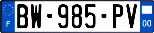 BW-985-PV