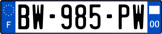 BW-985-PW