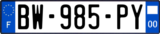 BW-985-PY