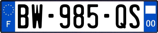 BW-985-QS