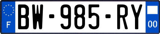 BW-985-RY