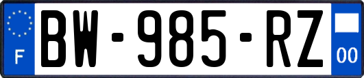 BW-985-RZ