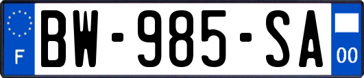 BW-985-SA