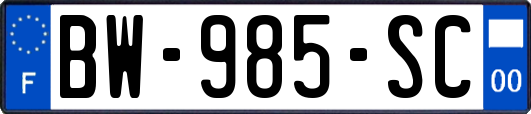 BW-985-SC