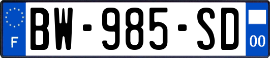 BW-985-SD