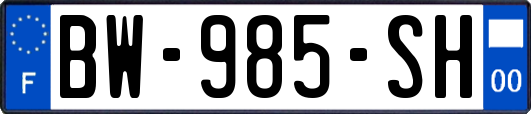 BW-985-SH