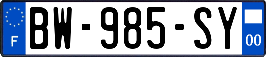 BW-985-SY