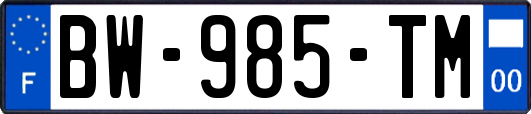 BW-985-TM
