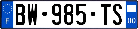 BW-985-TS
