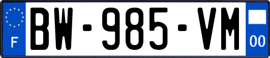BW-985-VM