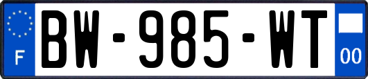 BW-985-WT