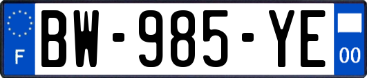 BW-985-YE
