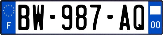 BW-987-AQ