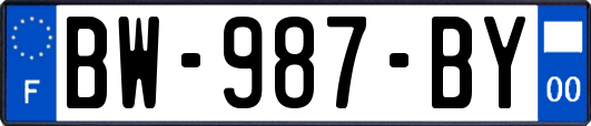 BW-987-BY