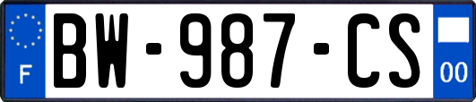 BW-987-CS