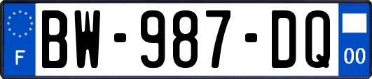 BW-987-DQ